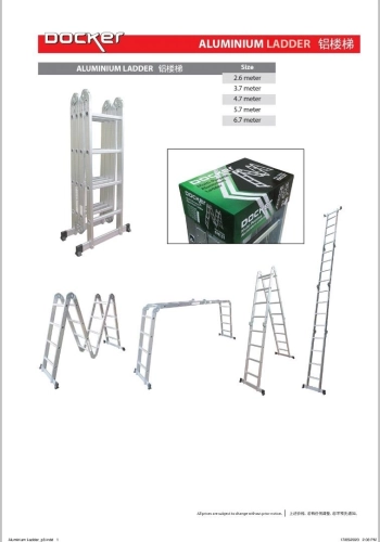 Docker Aluminum Ladder 