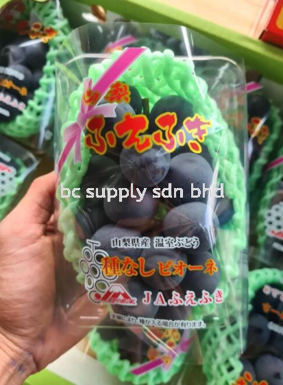 日本巨峰酒味水果吉兰丹 马来西亚 哥打巴鲁供应商 供应 Supply Sdn Bhd