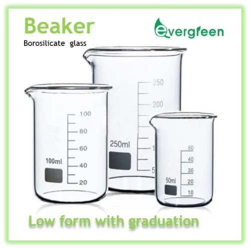 Glass Beaker Low form