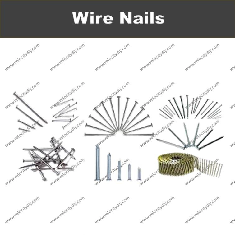 （铁钉） WIRE NAILS FOR WOOD/PAKU KAYU