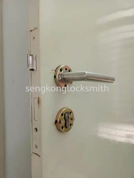 change mzin door lock (cylinder lock) Our Door Service Selangor, Malaysia, Kuala Lumpur (KL), Puchong Supplier, Suppliers, Supply, Supplies | Seng Kong Locksmith Enterprise