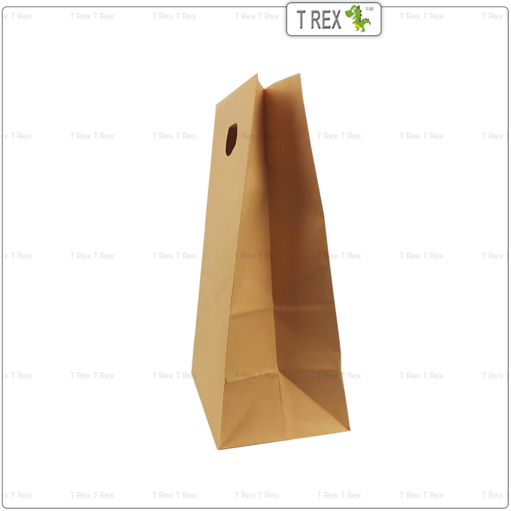 25pcs Brown Gift Paper Bag / Kraft Paper Bag with Handle