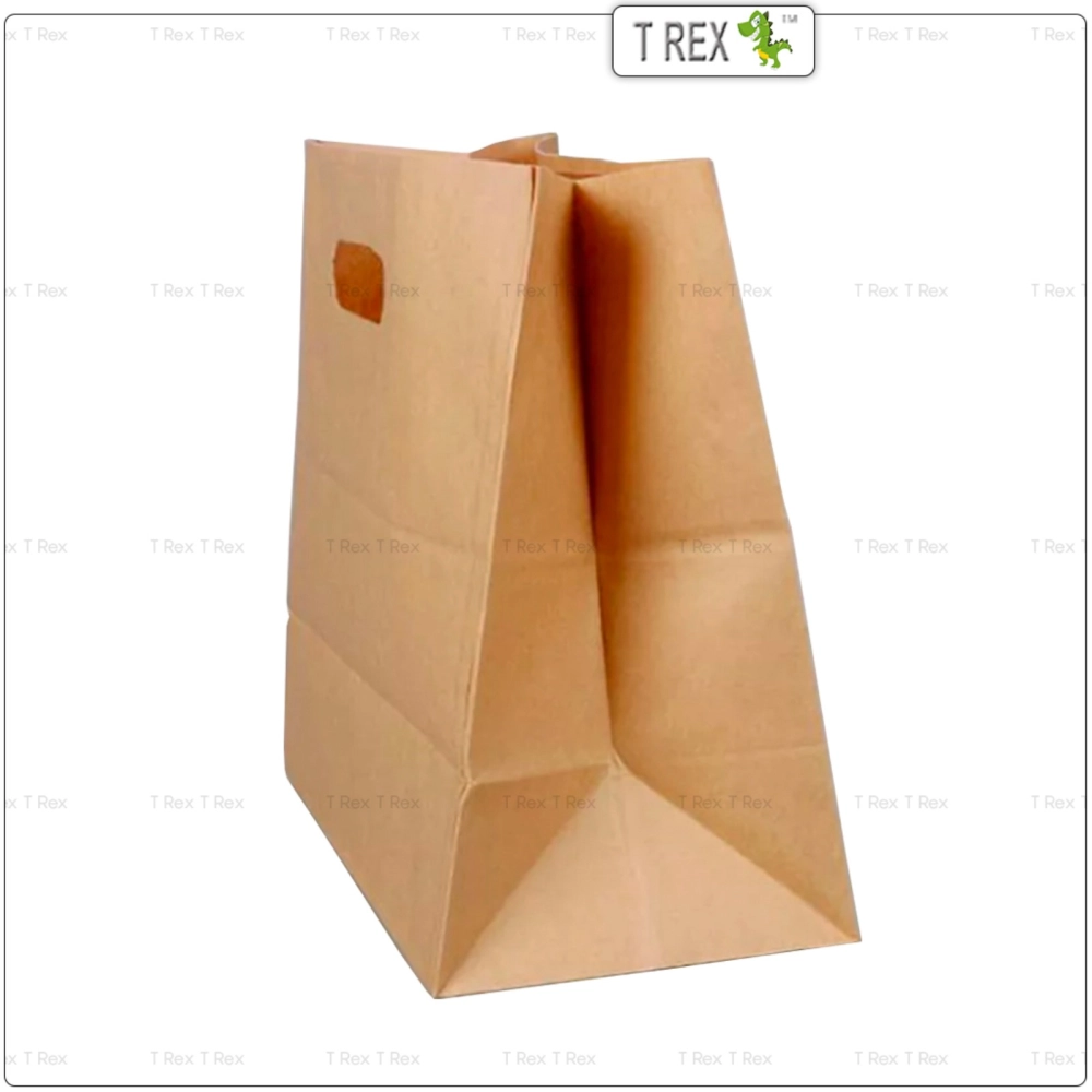 25pcs Brown Gift Paper Bag / Kraft Paper Bag with Handle