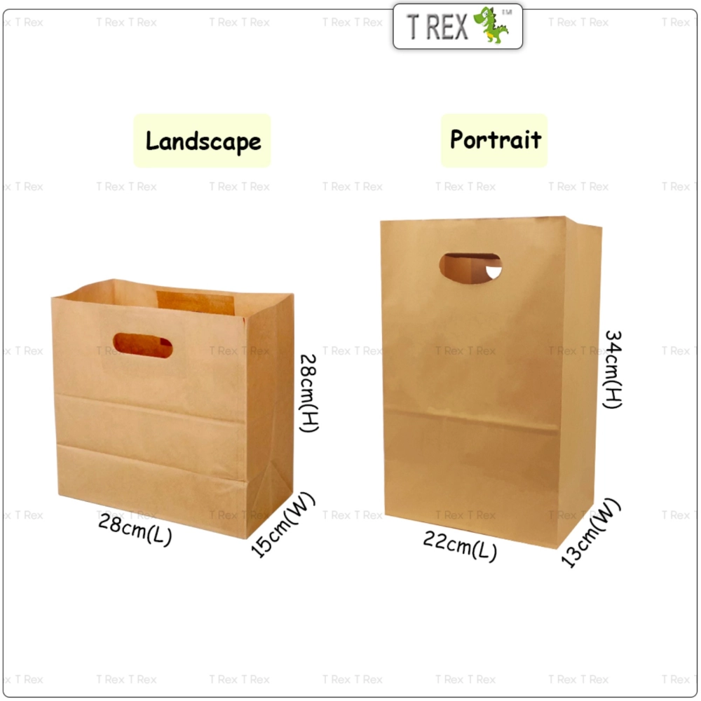 25pcs Brown Gift Paper Bag / Kraft Paper Bag with Handle