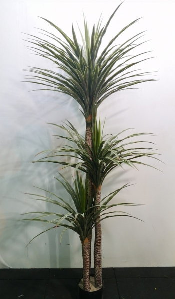 6ft New Agave Tree AP216 floristkl (Rent Available) Artificial Plant (Sell & Rent) Kuala Lumpur (KL), Selangor, Malaysia Supplier, Suppliers, Supply, Supplies | Shirley Florist