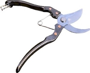 PRUNING SHEAR WILL'S SWORD