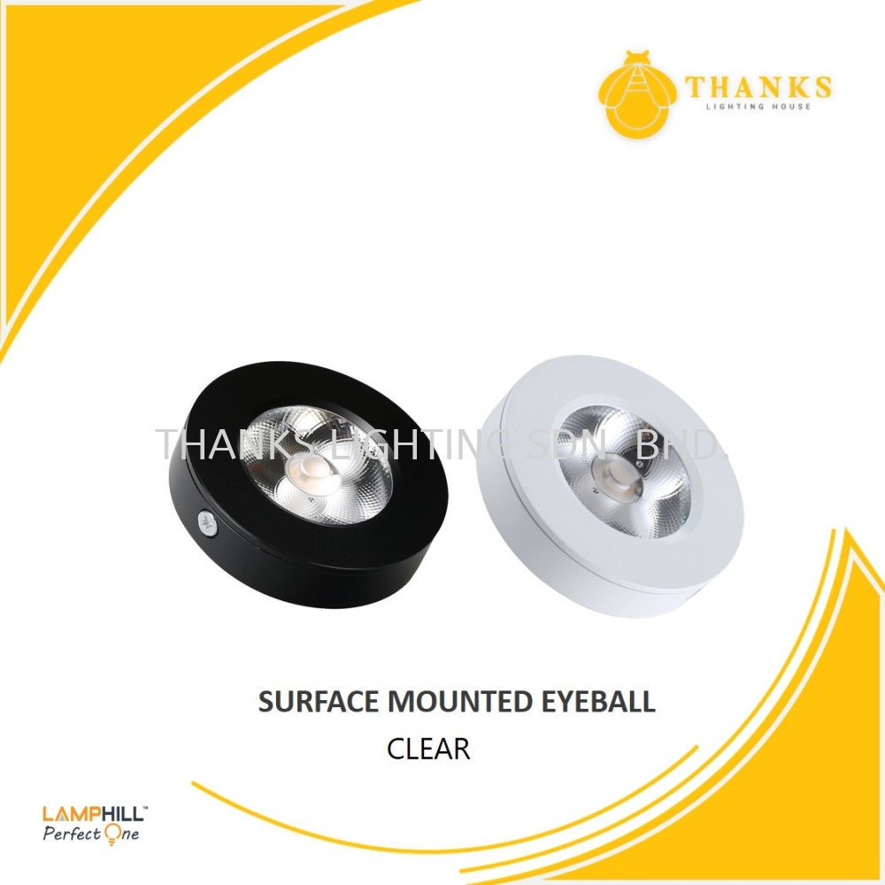 PERFECT ONE LED EYEBALL SURFACE DOWNLIGHT CLEAR