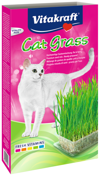 Vitakraft Cat Grass Cat Grass Cat Vitakraft Malaysia, Selangor, Kuala Lumpur (KL), Puchong Distributor, Supplier, Supply, Supplies | Progenesis Group Sdn Bhd