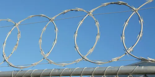 Concertina Wire