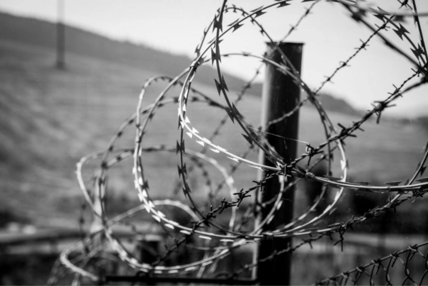 Concertina Wire