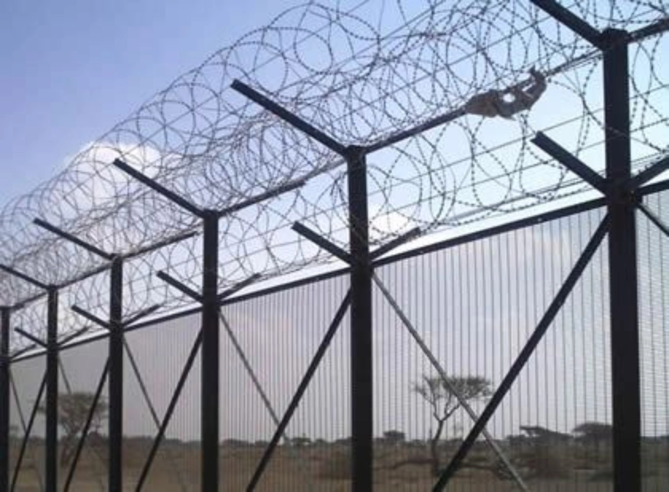 Concertina Wire