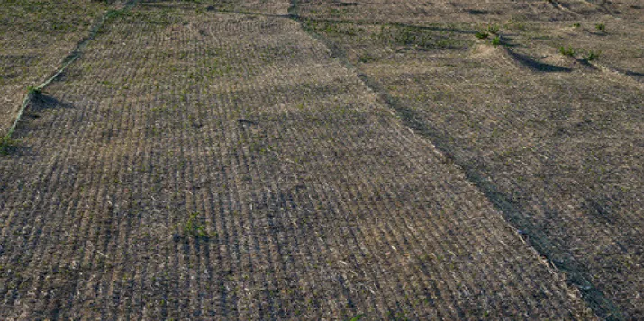 Erosion Control Blanket