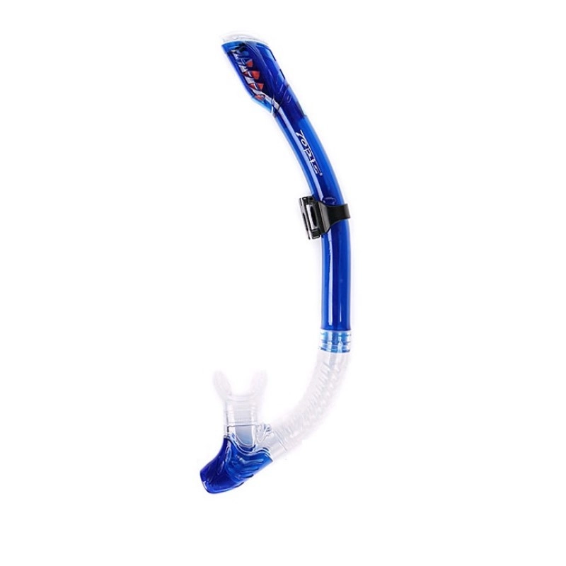 Dry Top Snorkel