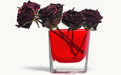 Rose de Mai Absolute 10% in DPG