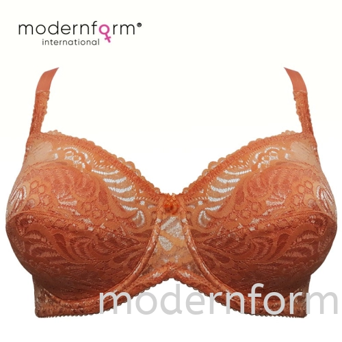 Modernform Women's Sexy Fashion Flower Floral Lace Wired Bra Cup C (P0210)