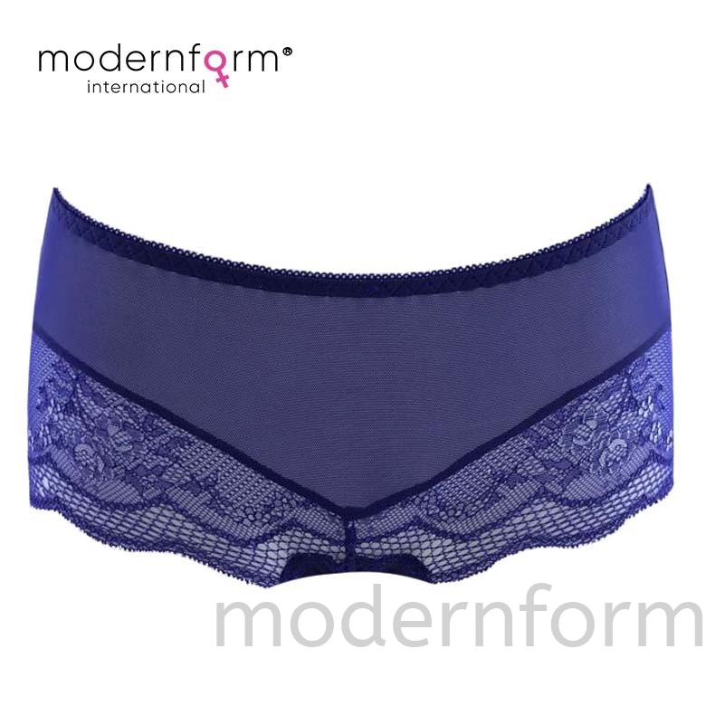 Modernform Sexy Girl Transparent Nylon Briefs Lace Embroidery Comfort Breathable M1209B