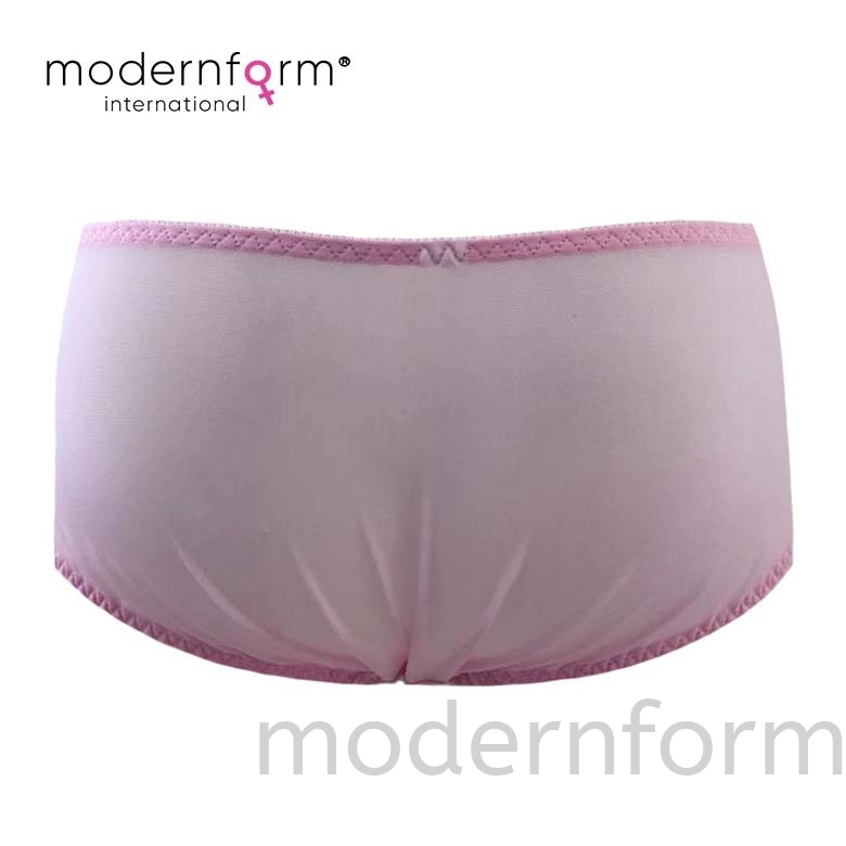 Modernform Sexy Girl Transparent Nylon Briefs Lace Embroidery Comfort Breathable M1209A