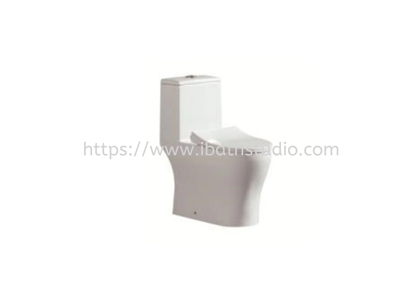 LIVINOX LWC-1001-150  One Piece Water Closet