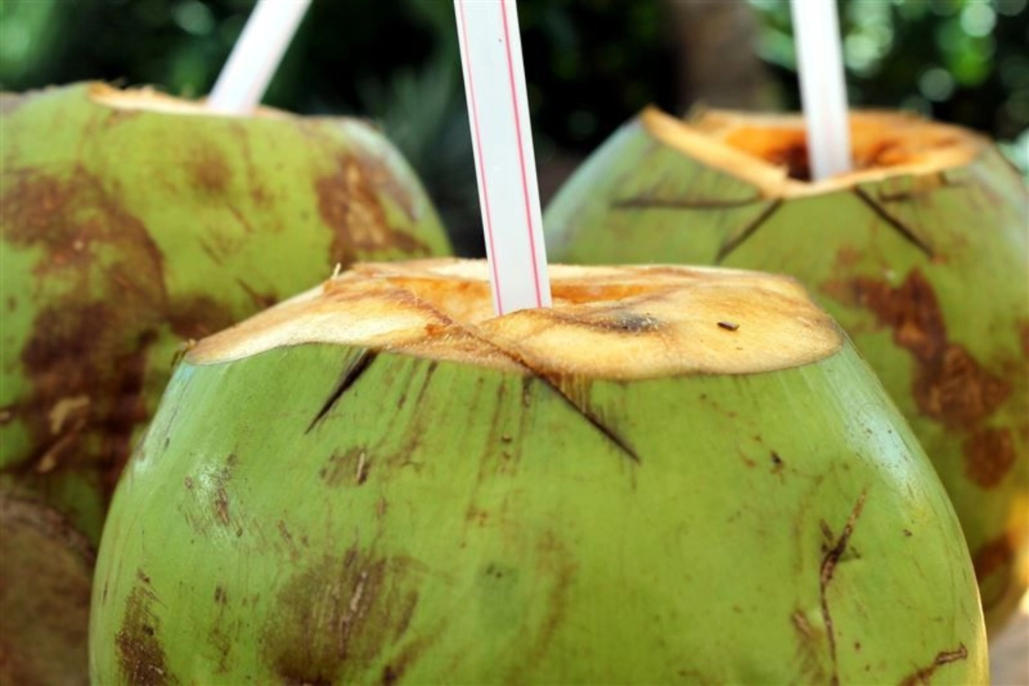 Local Coconut 1pcs