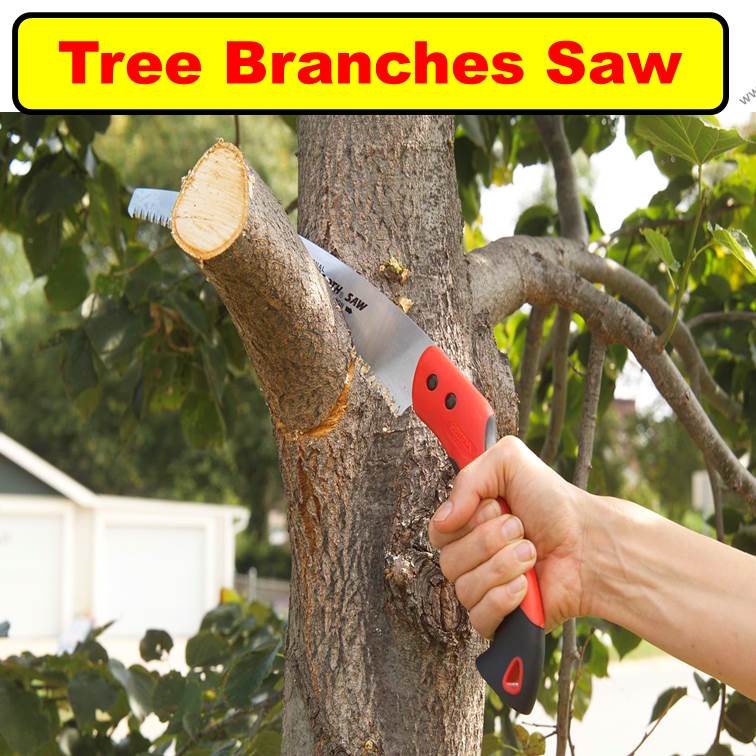 树枝锯）Tree Branches Saw Gergaji Potong Batang Pokok Pruning Saw 