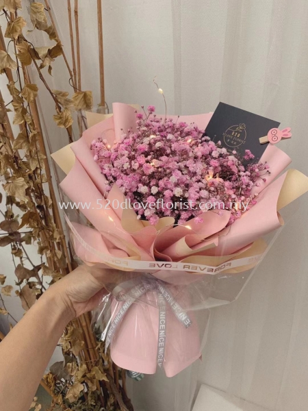  BABY BREATH M Kuala Lumpur (KL), Malaysia, Selangor, Cheras Supplier, Suppliers, Supply, Supplies | 520 D Love Florist