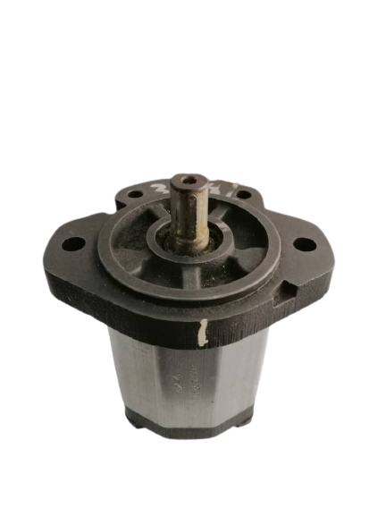 1L35DH09R ROQUET Hydraulic Gear Pump Hydraulic Gear Pump Hydraulic Pump Malaysia, Perak Supplier, Suppliers, Supply, Supplies | ASIA-MECH HYDRO-PNEUMATIC (M) SDN BHD