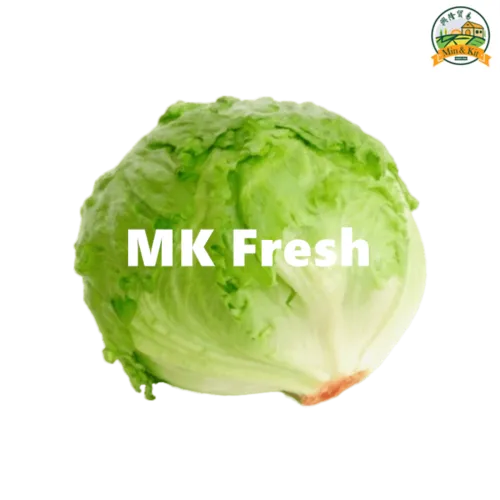 Iceberg Lettuce 生菜粒