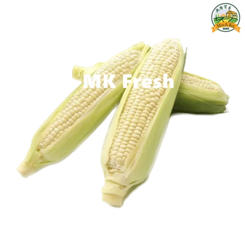 White Sweet Corn 白玉米