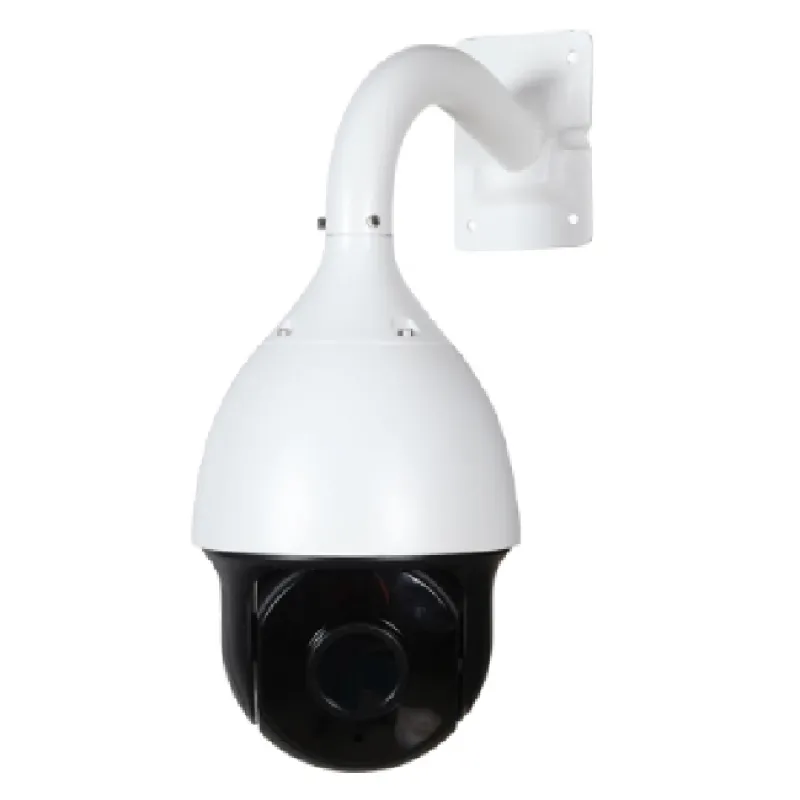 PTZ IP Camera