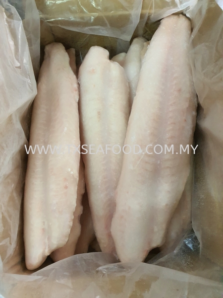 PERCH FILLET (PREMIUM) FROZEN FISH MEAT FROZEN FISH Selangor, Klang, Malaysia, Kuala Lumpur (KL) Supplier, Suppliers, Supply, Supplies | TX SEAFOOD SDN. BHD.
