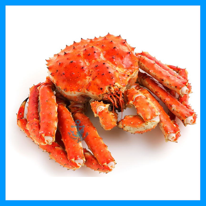 Chilean King Crab (Cooked) Shell Fish & Crab Malaysia, Kuala Lumpur (KL), Selangor, Kepong Wholesaler, Supplier, Retailer, Supply | FishPlus+