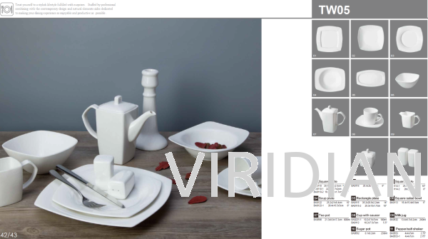 Tableware - TW05 Tableware CZTE Series Tableware Kuala Lumpur (KL), Malaysia, Selangor, Setapak Supplier, Suppliers, Supply, Supplies | Viridian Technologies