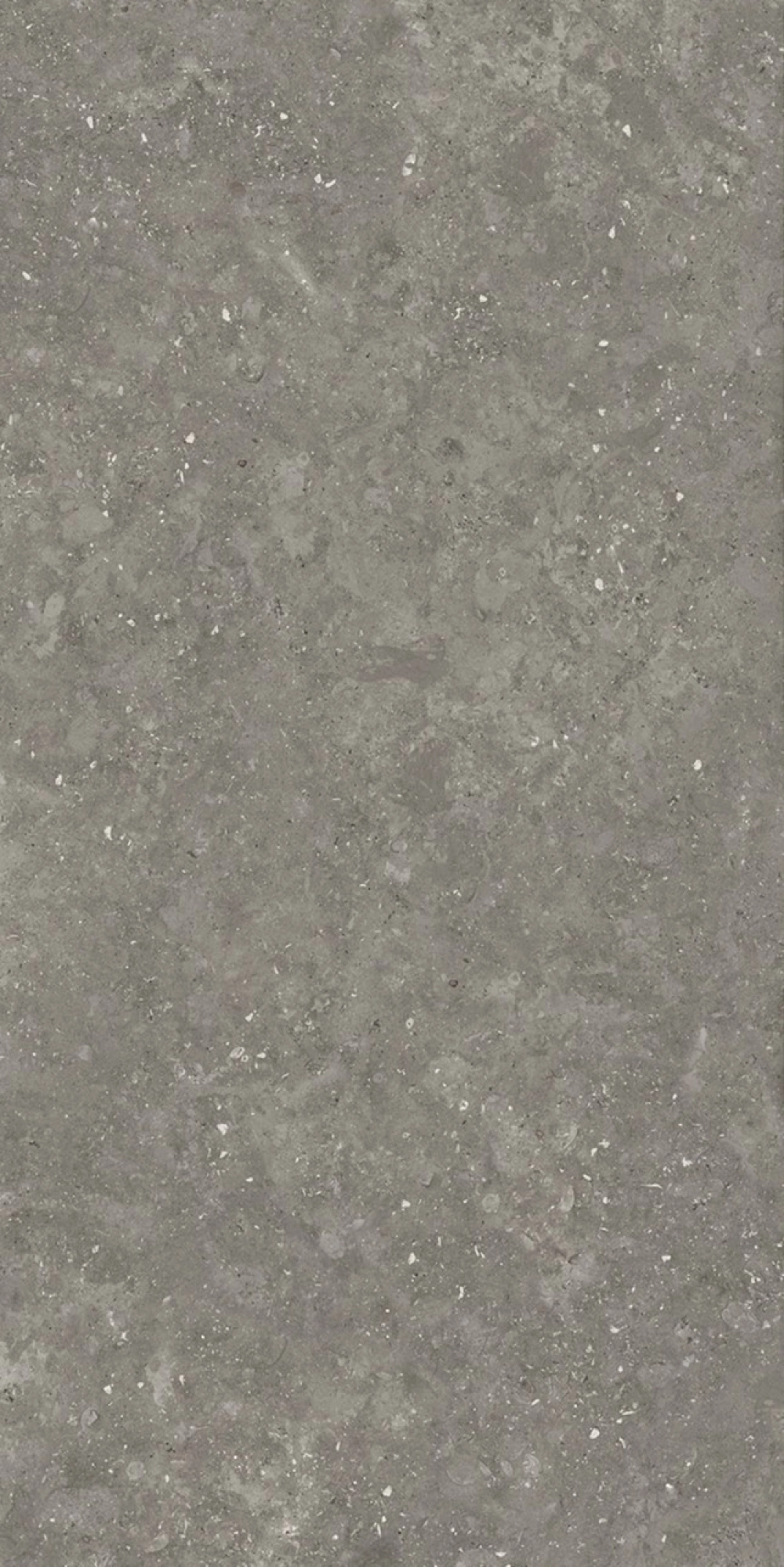 PIETRA CIOTOLI DARK GREY 600x1200x11mm