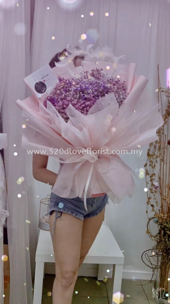  BABY BREATH M Kuala Lumpur (KL), Malaysia, Selangor, Cheras Supplier, Suppliers, Supply, Supplies | 520 D Love Florist