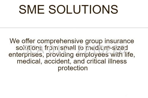 SME SOLUTION