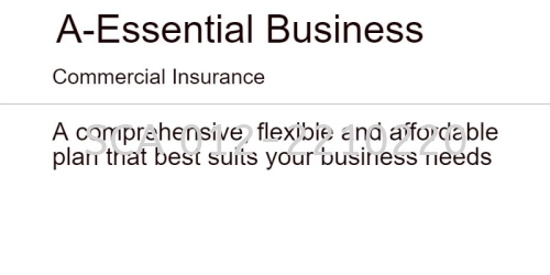 A-Essential Business