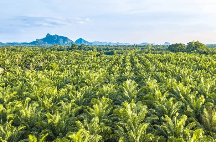 MPOB International Palm Oil Congress and Exhibition (PIPOC) 2019