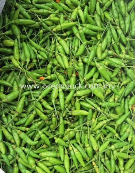 API KAMPUNG  CHILLI  Selangor, Malaysia, Kuala Lumpur (KL), Rawang Supplier, Suppliers, Supply, Supplies | Ocean Packaging Sdn Bhd