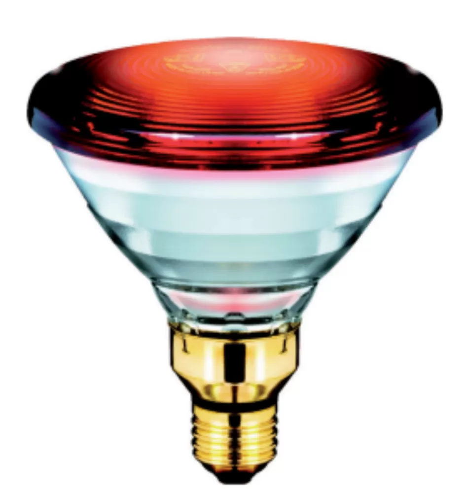 PHILIPS INFRAPHIL INFRARED 150W E27 HEAT BULB C/w HP3616 SET (HEALTHCARE,  RELIEVE MUSCLE PAINS & NON INFECTED WOUNDS) Kuala Lumpur (KL), Selangor,  Malaysia Supplier, Supply, Supplies, Distributor | JLL Electrical Sdn Bhd