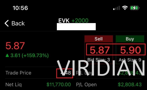 US EVK 2 Aug 2021 v1 US Stock Investment Stock Investment Other  Kuala Lumpur (KL), Malaysia, Selangor, Setapak Supplier, Suppliers, Supply, Supplies | Viridian Technologies