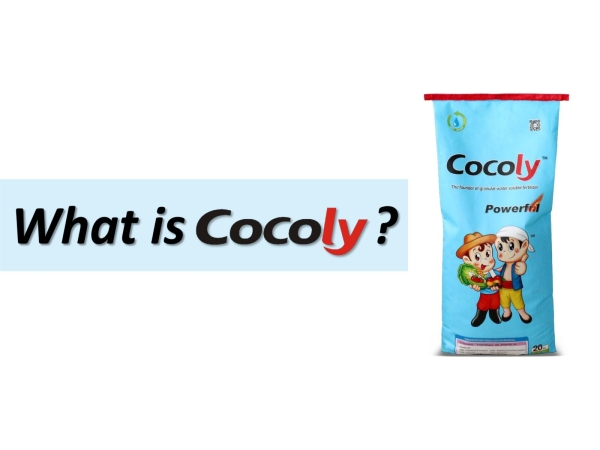 Cocoly Facts Cocoly Plant Nutrition Selangor, Malaysia, Kuala Lumpur (KL), Kajang Supplier, Suppliers, Supply, Supplies | Farmland Solutions Sdn Bhd