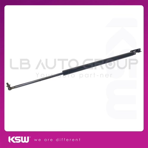 BA-10086-K BONNET ABSORBER VANETTE C22 86Y> (RR LH)