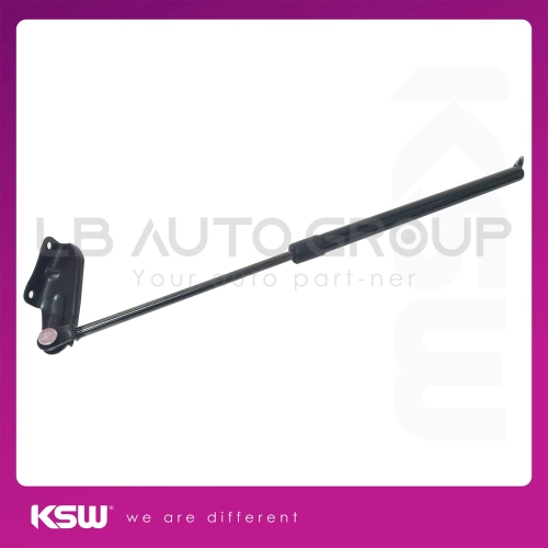 BA-10205-K BONNET ABSORBER VANETTE C20 C120 (RR RH)