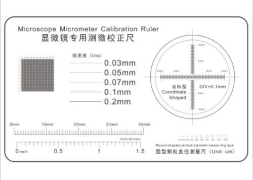 Microscope Micrometer Calibration Ruler