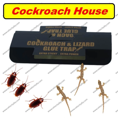 （蟑螂壁虎捕捉盒）Cockroach Glue Trap Lizard Glue Trap Cockroach Box 5 pieces