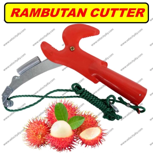 （两用红毛丹剪）Two Way Rambutan Cutter/Gunting Rambutan/Rambutan Shear/Pemotong Rambutan/Fruit Branch Cutter