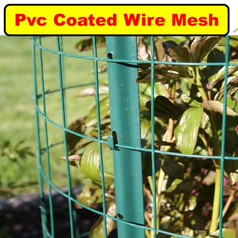 （包胶铁网电焊网）Pvc Coated Wire Mesh Green Vinyl Coated Welded Fence Mesh 0.5m