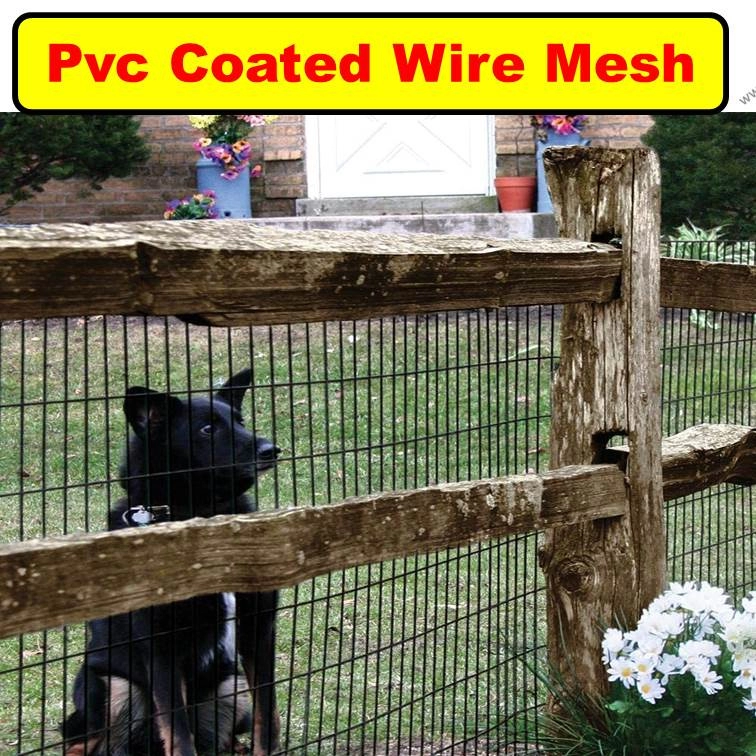 （包胶铁网电焊网）Pvc Coated Wire Mesh Green Vinyl Coated Welded Fence Mesh 0.5m