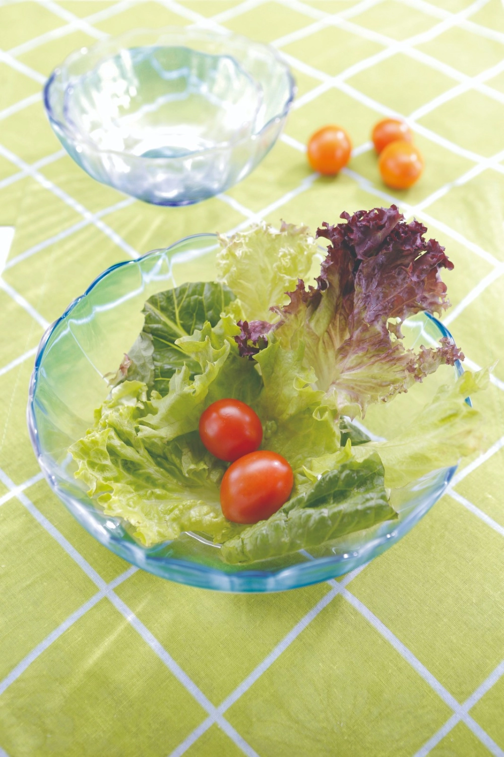 Luminarc Arcade Salad Bowl