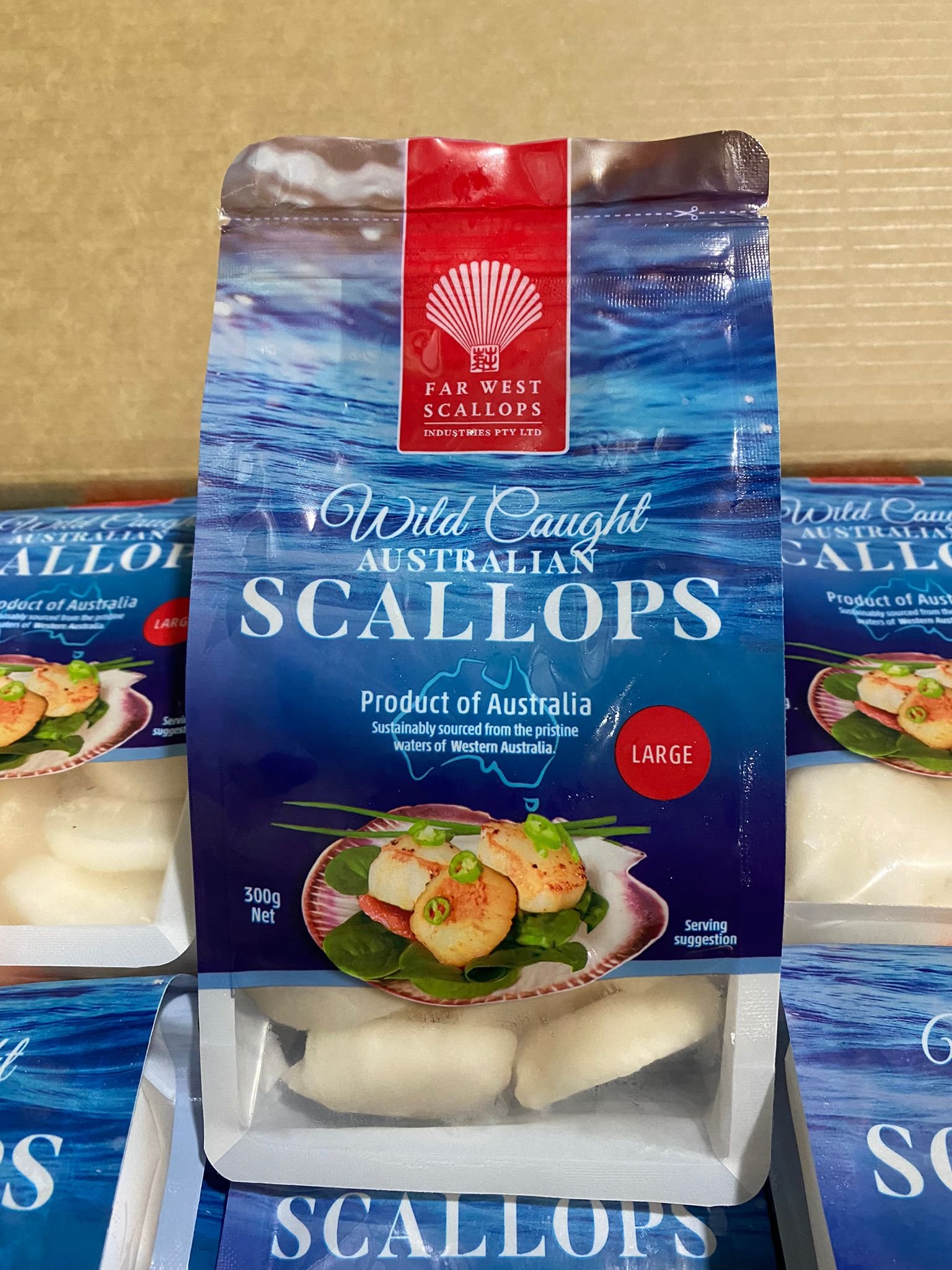 Australia Far West Scallop 20/30 (Large) IQF 300g Pack (20pkt/ctn)